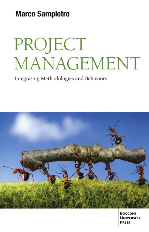 Project management. Integrating methodologies and behaviors