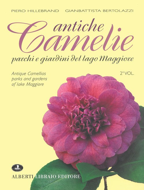 Antiche camelie del Lago Maggiore-Antique camellias of lake Maggiore