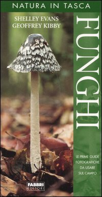 Funghi