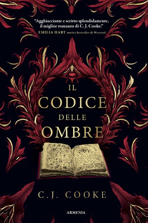 Il codice delle ombre