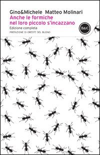 Anche le formiche nel loro piccolo si incazzano