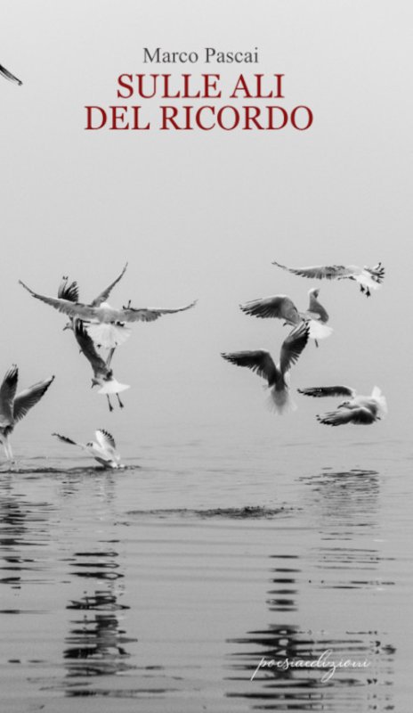 Sulle ali del ricordo