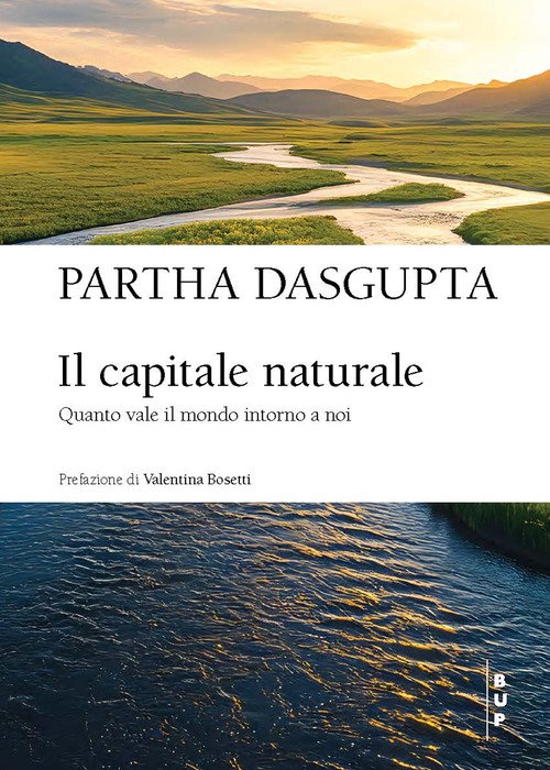 Il capitale naturale. Quanto vale il mondo intorno a noi