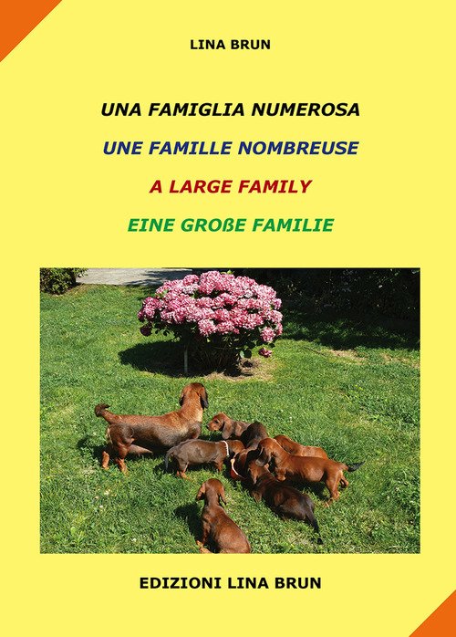 Una famiglia numerosa-Une famille nombreuse-A large family-Eine grabe familie