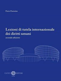 Lezioni di tutela internazionale dei diritti umani