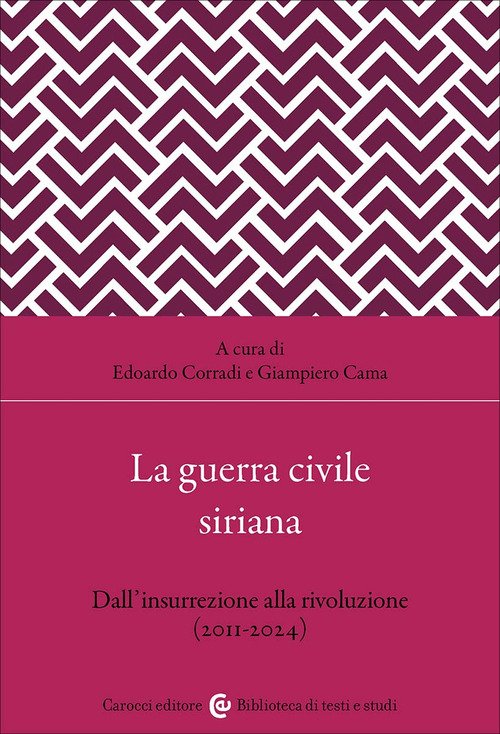 La guerra civile siriana. Dall'insurrezione alla rivoluzione (2011-2024)