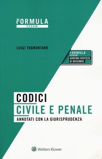 Codici civile e penale. Annotati con la giurisprudenza per l'esame di avvocato 2020