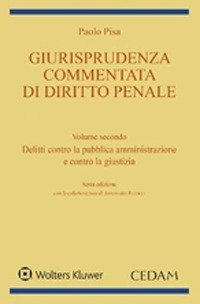 Giurisprudenza commentata di diritto penale