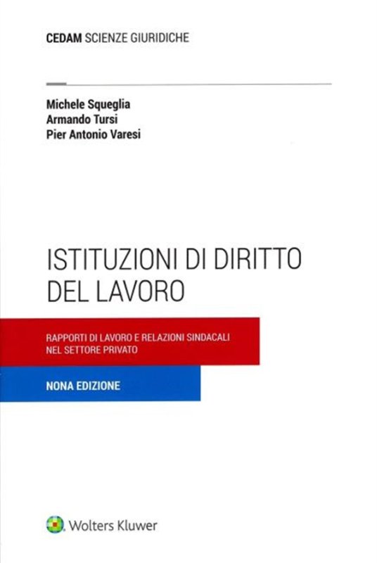 Istituzioni di diritto del lavoro. Rapporti di lavoro e relazioni sindacali nel settore privato