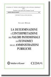 La determinazione e l'interpretazione dei valori patrimoniali ed economici delle P.A.