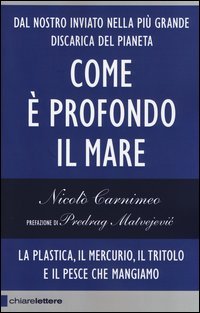 Com'é profondo il mare. La plastica, il mercurio, il tritolo e il pesce che mangiamo