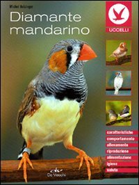 Diamante mandarino