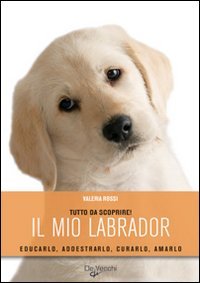 Il mio labrador