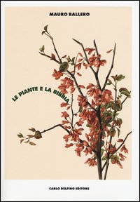 Le piante e la Bibbia. Ediz. a colori