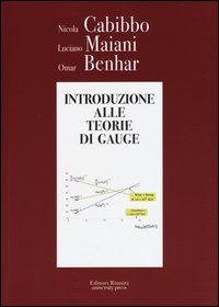Introduzione alle teorie di Gauge