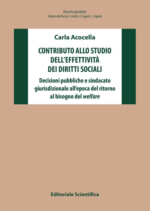 Contributo allo studio dell'effettività dei diritti sociali. Decisioni pubbliche e sindacato giurisdizionale all'epoca del ritorno al bisogno del welfare