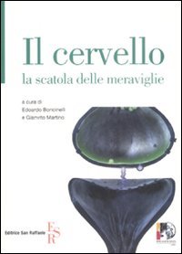 Il cervello
