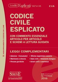 Codice civile esplicato. Con commento essenziale articolo per articolo e schemi a lettura guidata. Leggi complementari