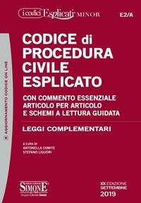 Codice di procedura civile esplicato. Con commento essenziale articolo per articolo e schemi a lettura guidata. Leggi complementari
