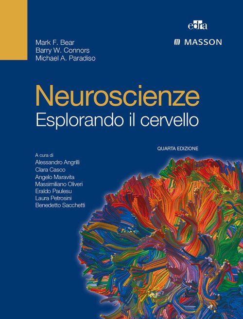 Neuroscienze. Esplorando il cervello