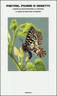 Pietre, piume e insetti