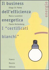 Il business dell'efficienza energentica