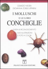 I molluschi e le loro conchiglie