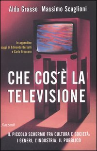 Che cos'è la televisione