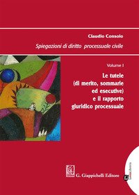 Spiegazioni di diritto processuale civile