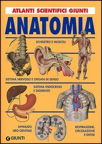 Anatomia