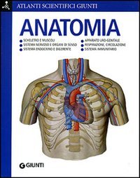 Anatomia
