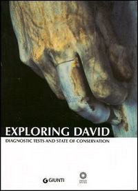 Exploring David. Diagnostic tests and state of conservation