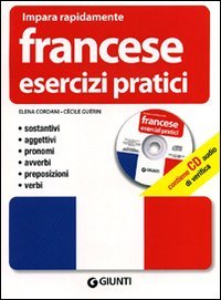 Francese. Esercizi pratici