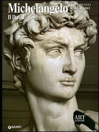 Michelangelo. Il David