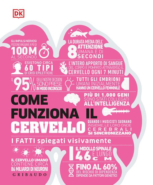 Come funziona il cervello. I fatti spiegati visivamente