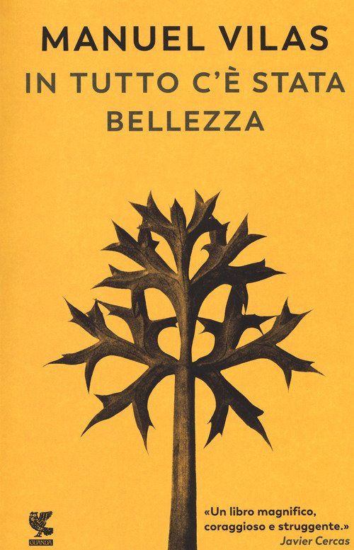 In tutto c'è stata bellezza