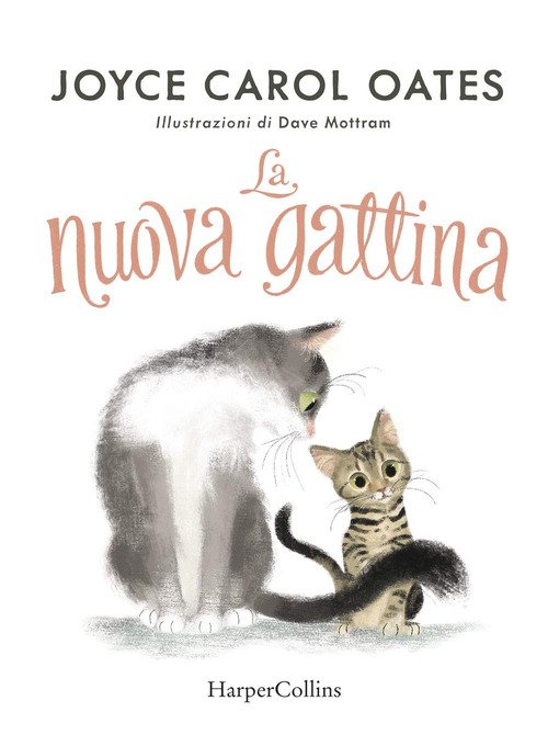 La nuova gattina
