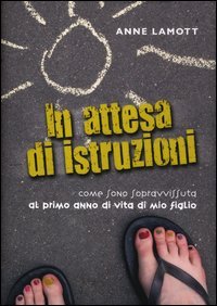 In attesa di istruzioni. Come sono sopravvissuta al primo anno di vita di mio figlio