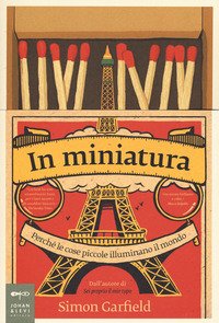 In miniatura. Perché le piccole cose illuminano il mondo