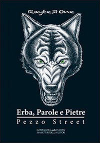 Erba, parole e pietre. Pezzo street. Romanzo hip hop