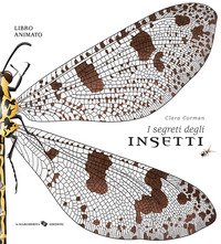 I segreti degli insetti