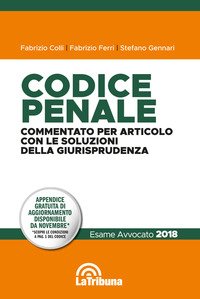 Codice penale. Commentato per articolo con le soluzioni della giurisprudenza