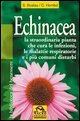 Echinacea