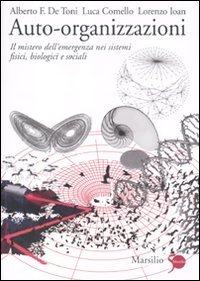 Auto-organizzazioni