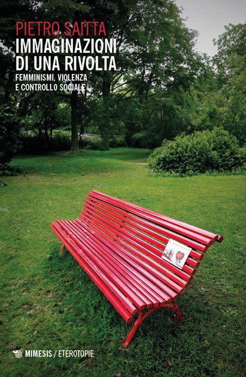 Immaginazioni di una rivolta. Femminismi, violenza e controllo sociale