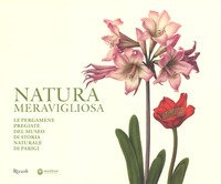 Natura meravigliosa. Le pergamene pregiate del Museo di storia naturale di Parigi