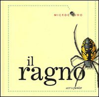 Il ragno
