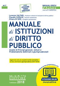 Manuale di istituzioni di diritto pubblico. Analisi di principi generali, istituti e problematiche dottrinali e giurisprudenziali