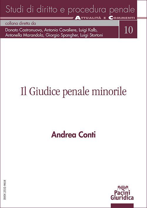 Il giudice penale minorile