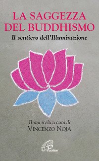 La saggezza del buddhismo. Il sentiero dell'illuminazione